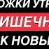 Кишечник будет как в 20 лет если перед завтраком выпивать Микробиолог Дмитрий Алексеев