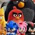 SONIC THE HEDGEHOG ANGRY BIRDS S6E5 AMY ROSE JOINS THE BIRDHOG STUDIOS