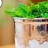 How To Drink The MINT JULEP The Original Way