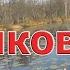 Поверхностные ВОБЛЕРЫ НА ЩУКУ Попперы волкеры минноу На что ловить щуку в траве