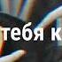 Иди замуж за ботана