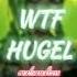 WTF HUGEL AMBER VAN DAY AUDIO EDIT