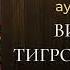 ВИТЯЗЬ В ТИГРОВОЙ ШКУРЕ Шота Руставели АУДИКОНИГА