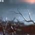 Silk Road Loading Screen Music Battlefield 4