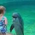 Little Girl And Super Social Dolphin Stop To Have A Sweet Chat Humankind Shorts Goodnews