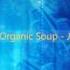 Organic Soup Jashan