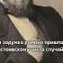 Самый непопулярный роман Достоевского литератураегэ классика интересныефакты асмр