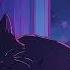 ＳＬＥＥＰＹ Lofi Lofi Cat Just Want To Help You Relax Beats To Sleep Chill To