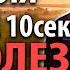 23 июня УСПЕЙТЕ 10сек ВСЕ БОЛЕЗНИ НАВСЕГДА УБЕГУТ Молитва Богородице Ярославская Православие