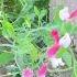Отдых в 5 отеле Египет Music Travel Summer Egipt Love Vacation Redsea