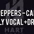 Red Hot Chili Peppers Californication ONLY VOCAL DRUM Chord Lyric