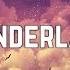 Taylor Swift Wonderland Lyrics
