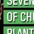 The Seven Seasons Of Church Planting William Chaney