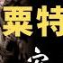 粟特人来华史 为什么说安史之乱以后 外国人再也不受欢迎 中国对外来文化由开放走向封闭