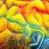 Rewiring Your Brain For Mindgasm Boost Neuroplasticity And Experience Pleasure Like Never Before