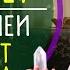 2025 ВАЖНО ЗНАТЬ ЗАРАНЕЕ Пророчества потомственной провидицы Александры Серебряковой