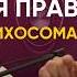 ПСИХОСОМАТИКА БОЛЕЗНЕЙ с Романом Сухининым ЖЕЛЧНЫЙ ПОДКАСТ