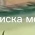 мЫшКа СОСИска