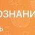 Обществознание 8 класс Собственность