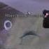 World Of Warcraft Quest Боги говорили с нами Id 12729
