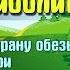 Доктор Айболит часть 1 Путешествие в страну обезьян глава 1 доктор и его звери Аудиосказка