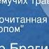 Владимир Брагин В стране дремучих трав Часть 1 Записка прочитанная под микроскопом