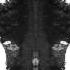 Mike Parker Luminescent Black INK003