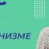 Науки об организме человека Видеоурок 1 Биология 8 класс