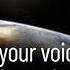 Send Your Voice To Space