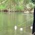 How To Use Bamboo Pipes To Fish Catch Lots Of Carp In The Wild And Cook In The Stream