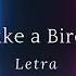 Like A Bird By Letra Cinematic Music