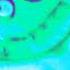 Zoopals In G Major 6528