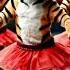 Cute Tigers Is Dancing Shorts Viral Trending