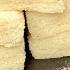 Dessert For Weight Loss Only 2 Ingredients SUGARLESS
