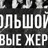 Фёдор Раззаков Тайны Большой чистки первые жертвы