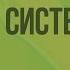 Автономный отдел нервной системы Видеоурок по биологии 8 класс