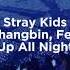 Stray Kids Up All Night Bang Chan Changbin Felix Seungmin Empty Arena Ver