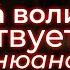 Является ли наше сознание квантовым открытие которого никто не ждал