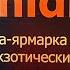 Главное орхидейное событие года Орхидиум