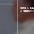 Подкаст Полка Сергей Круглов Дневники Александра Шмемана