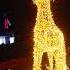 Christmas Reindeer Decor In Robinsons Galleria South San Pedro Laguna