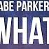 Abe Parker It Is What It Is Lyrics