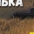НИВА ВСЯ БЕЛЁШЕНЬКА СТОИТ песня НА ЖАТВУ трио Мулык