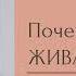 Кто заставляет вас болеть сущности эгрегоры и метафизика болезни