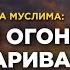 Адский огонь разговаривал со своим Господом Пользы из Сахиха Муслима Абу Яхья Крымский