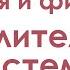 Анатомия и физиология почек мочевого пузыря мочеточников