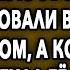 Случай На Корпоративе Правда Жизни