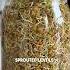 Turn Your Lentils Into Sprouts For FREE Shorts