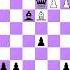 Король и Шут Checkmate Chess Amazing Checkmate