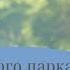 Шум городского парка звуки природы пение птиц шум леса шум парка музыка для отдыха